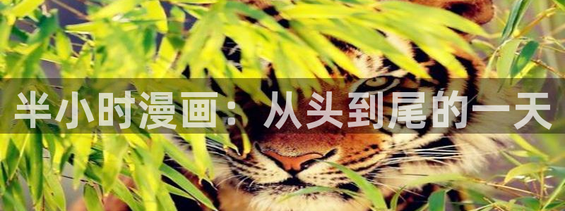 女神漫画免费下拉式